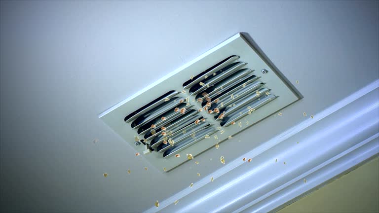 Best Duct Cleaning for Homes  in Shenandoah, VA