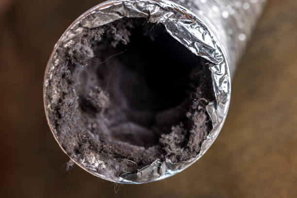 Best Ventilation Cleaning Services  in Shenandoah, VA