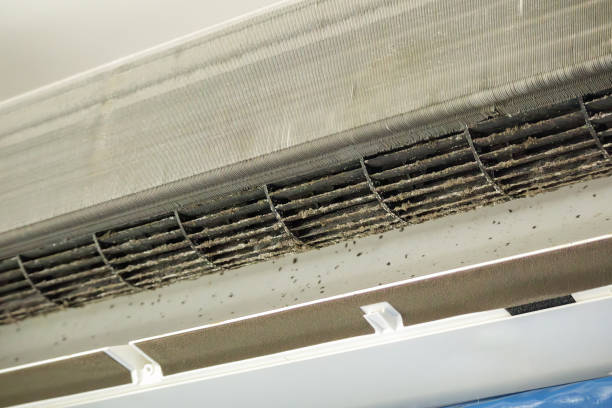 Best Best Air Duct Cleaning Near Me  in Shenandoah, VA