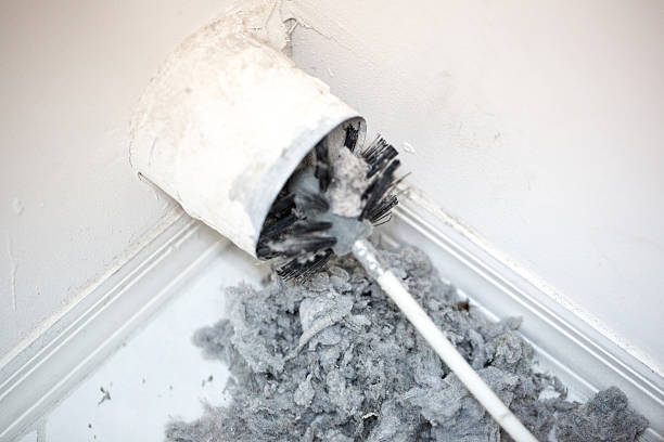 Best General Air Duct Cleaning  in Shenandoah, VA